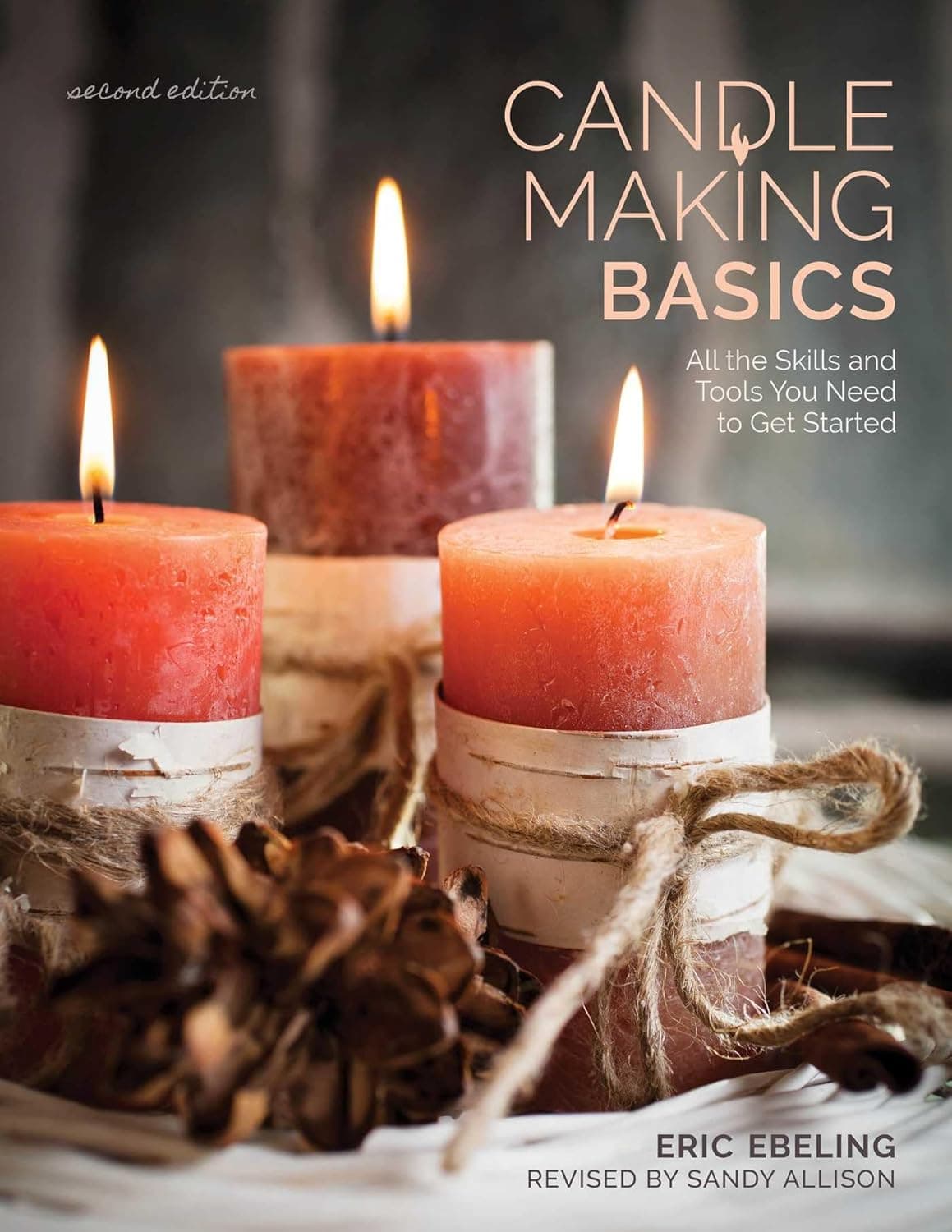 Candle Making Basics: All the Skills and Tools You Need to Get Started by Sandy Allison